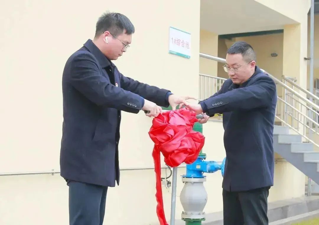 1680745562401812.jpg 1680745562401812.jpg